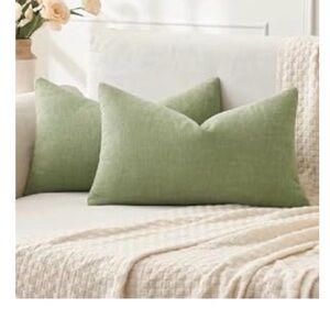 Sage Green set of 2 Throw Pillow Covers